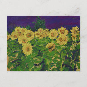 0067 le champ des tournesols postkarte