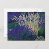 0071-le champ de lavande postkarte (Vorne/Hinten)