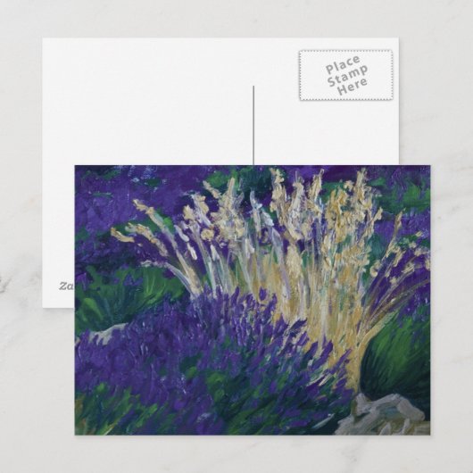 0071-le champ de lavande postkarte (Vorne/Hinten)