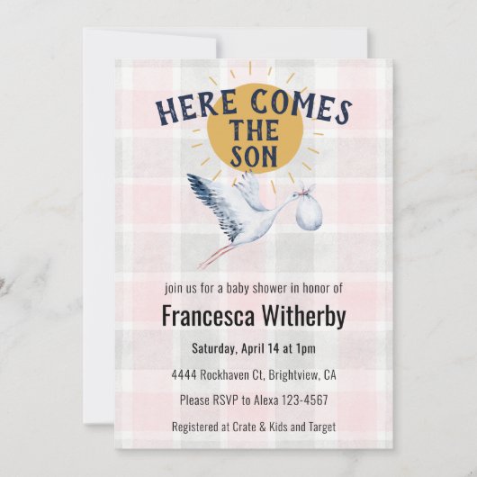 008 Blush 020 Fog Sun Plaid Stork Baby Shower Einladung (Vorderseite)