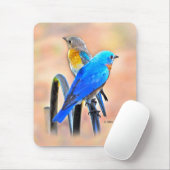 010 Mausunterlage der Drossel-Liebe-7.75x9.25 Mousepad (Mit Mouse)