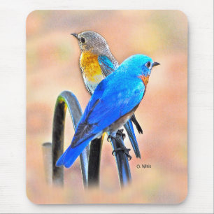010 Mausunterlage der Drossel-Liebe-7.75x9.25 Mousepad