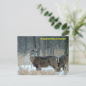 011110-40-APC POSTKARTE (Stehend Vorderseite)