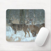 011110-57-AMP MOUSEPAD (Mit Mouse)