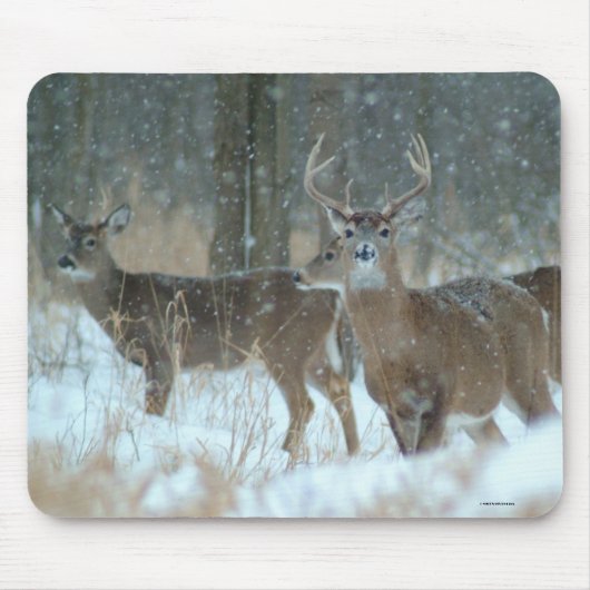 011110-57-AMP MOUSEPAD (Vorne)