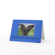 013, Zählen Sie Ihr Alter in Bellen...