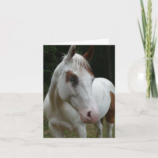 015 Illusionskarte Karte (Vorderseite)