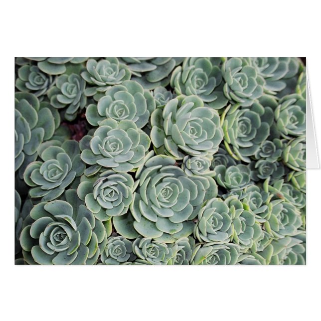 01760023 (Vorderseite (Horizontal))