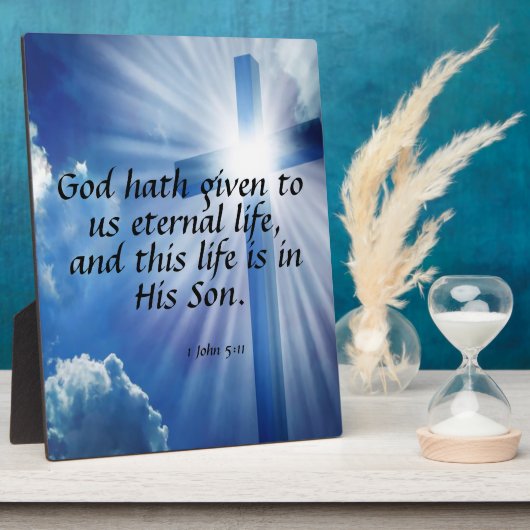 01.05:11 FOTOPLATTE (Seite)