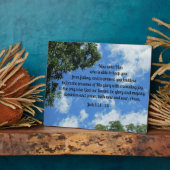 01:24-25 FOTOPLATTE (Seite)