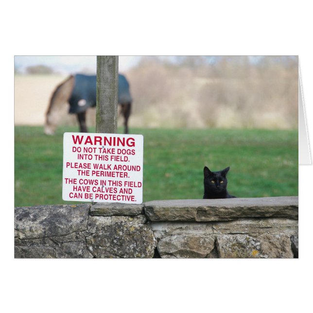 020409HundeFarm260 (Vorderseite (Horizontal))