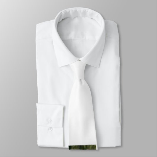 020600 rrfc Logo 9a23, wernis Krawatte (Gebunden)