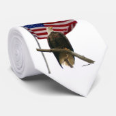 022309-1-ANT KRAWATTE (Gerollt)