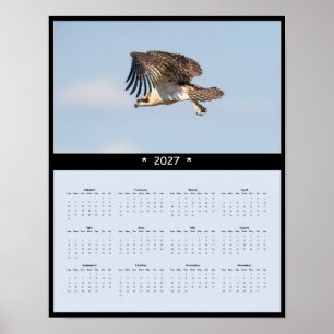 027 Fischadler-Wandkalender - Fischjagende Greifvö Poster
