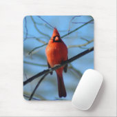 030110-9-AMP MOUSEPAD (Mit Mouse)
