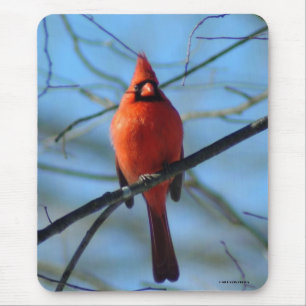 030110-9-AMP MOUSEPAD