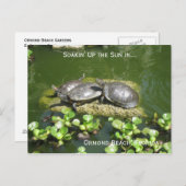 03-21-10 246, Ormond Beach, Florida, Soakin' Up... Postkarte (Vorne/Hinten)