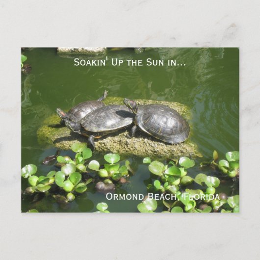03-21-10 246, Ormond Beach, Florida, Soakin' Up... Postkarte (Vorderseite)