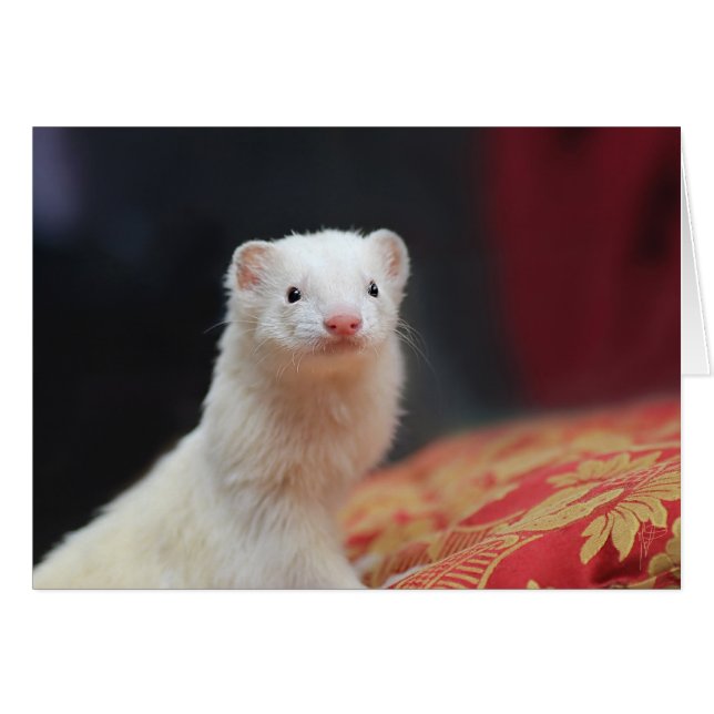 040 (Vorderseite (Horizontal))