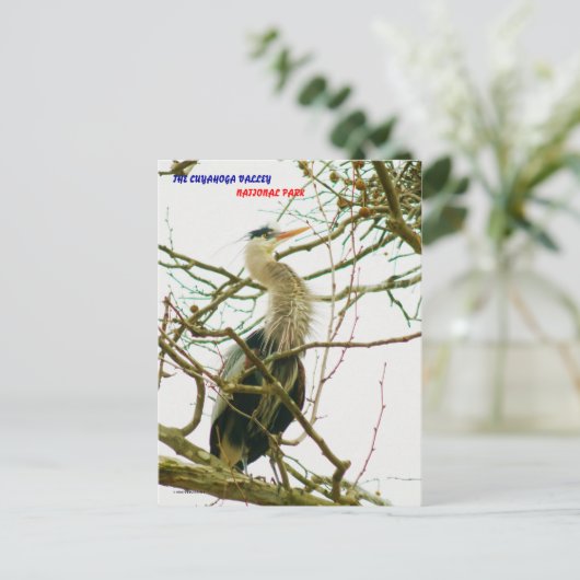 040111-145-APS POSTKARTE (Stehend Vorderseite)