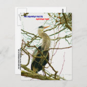 040111-145-APS POSTKARTE (Vorne/Hinten)