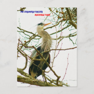 040111-145-APS POSTKARTE