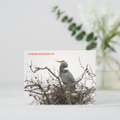 040111-70-APC POSTKARTE (Stehend Vorderseite)