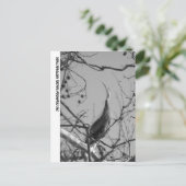 040510-9-APC POSTKARTE (Stehend Vorderseite)