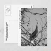 040510-9-APC POSTKARTE (Vorne/Hinten)