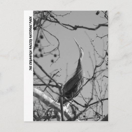 040510-9-APC POSTKARTE (Vorderseite)