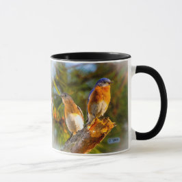 040 Drossel-Umwerbung 11 Unze-Klassiker-Tasse Tasse