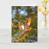 040 Drossel-Umwerbungs-Karten-12x18 Lech Karte (Gelbe Blume)