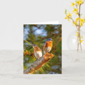 040 Lech der Karte (Gelbe Blume)