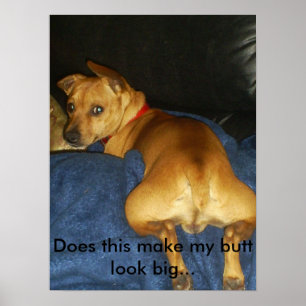 042, tut dies machen meinen Hinternblick groß… Poster