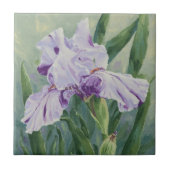 0440 Lila Iris Fliese (Vorderseite)
