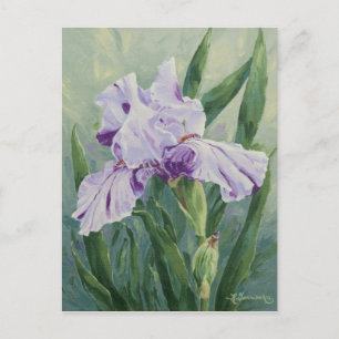 0440 Lila Streaked Iris Postcard Postkarte