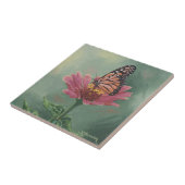 0465 Monarchschmetterling über Zinnia Fliese (Seite)