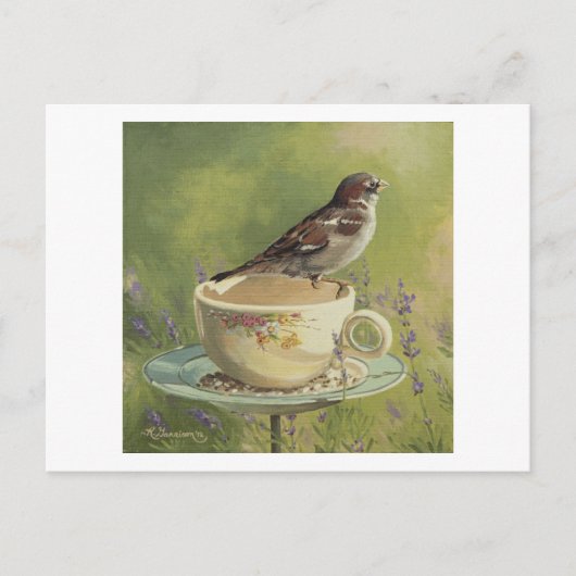 0470 Sparrow Postkarte (Vorderseite)
