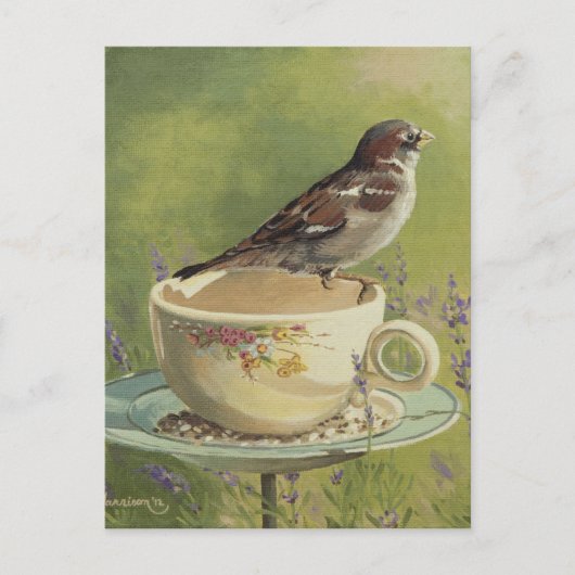 0470 Sparrow Postkarte (Vorderseite)