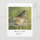 0470 Sparrow-Postkarte Postkarte (Vorderseite)