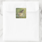 0470 Sparrow Quadratischer Aufkleber (Tasche)