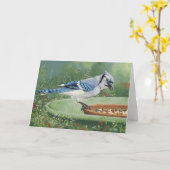 0481 Blue Jay bei der Feeder Birthday Card Karte (Gelbe Blume)