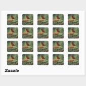 0487 Kardinal Stickers (Blatt)