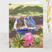 050 der Drossel-Lech für immer großer Karte (Gelbe Blume)