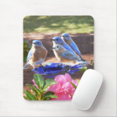 050 Drossel-für immer 7.75x9.25 Mausunterlage Mousepad (Mit Mouse)