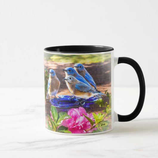 050 Drosseln für immer 11 Unze-Klassiker-Tasse Tasse (Rechts)