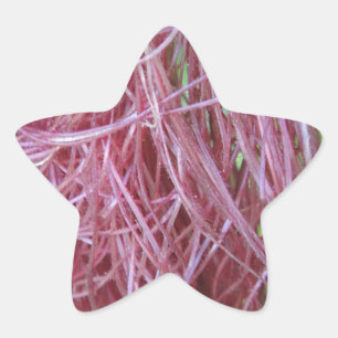 056.JPG Stern-Aufkleber