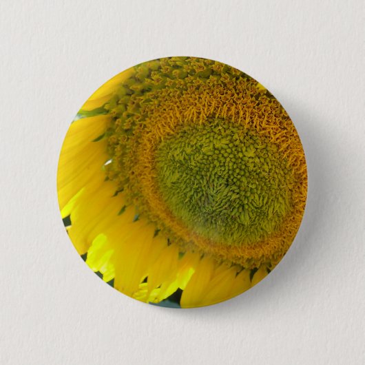 057.JPG BUTTON (Vorderseite)