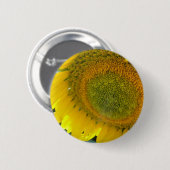 057.JPG BUTTON (Vorne & Hinten)