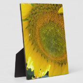 057.JPG FOTOPLATTE (Seite)